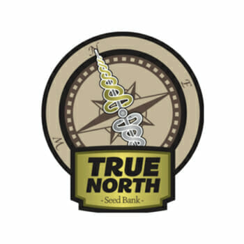 True North Coupon Codes & Discount Codes