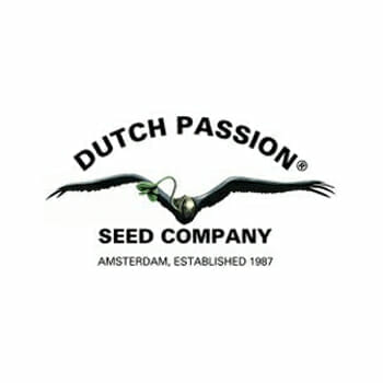 Seedsman Dutch Passion Promo Sale