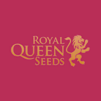 Royal Queen Seeds Promo Sale