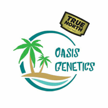 True North Oasis Genetics Promo