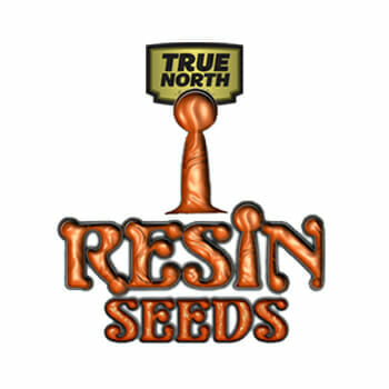 Resin Seeds True North Seed Bank Promo