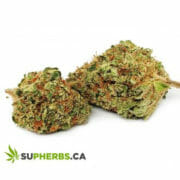 Sativa Cannabis Supherbs Coupon Code Discount