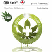 CBD Kush Feminized Marijuana Seeds Amsterdam Seed Center Discount Sale