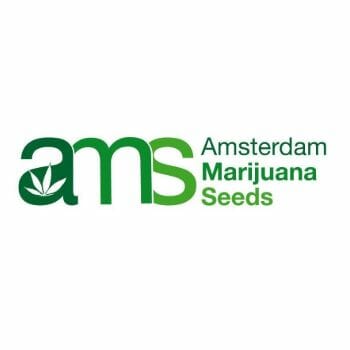 Amsterdam Marijuana Seeds Coupons mobile-headline-logo