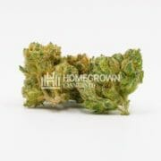 Critical + 2.0 Autoflower at Homegrown Cannabis Co