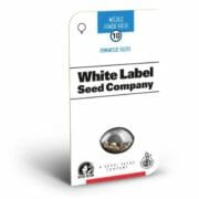 Nicole Hindu Kush Feminized Seeds by White Label