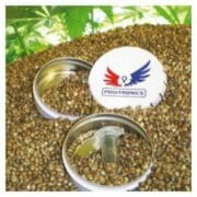 Sativa Collection Pack - Feminised