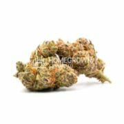 Grapefruit Feminized Cannabis Seeds