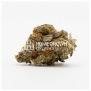 Blue Amnesia Autoflower Cannabis Seeds