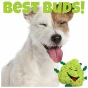 Bud The Weed Nug Funny 420 Dog Toy - Built-in Squeaker
