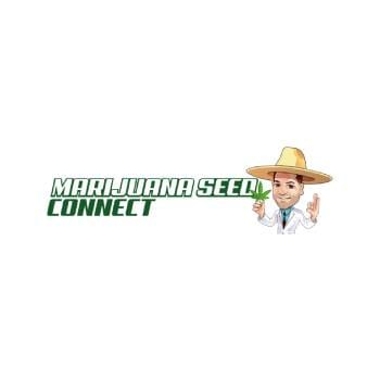 Marijuana Seed Connect Coupons mobile-headline-logo