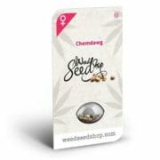 Chemdawg Feminized Seeds