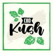 CBD Kush Autoflower at Seed Supreme