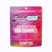 Broad Spectrum CBD Gummy (PEACH) 100mg at Kushy CBD
