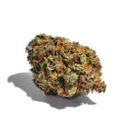 Lava Cake Feminized Seeds ams