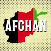 afghan auto seed supreme