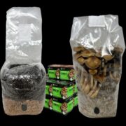 All-in-One Mushroom Grow Bag (4 lbs) for Manure Loving Mushrooms