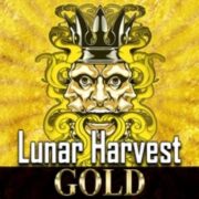 Lunar Harvest Gold at The Knoll