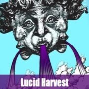 Lucid Harvest The Knoll