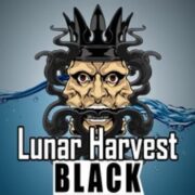 Lunar Harvest Black the knoll