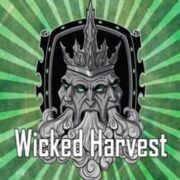 Wicked Harvest the knoll