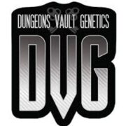 Dungeons Vault Genetics – Dutch Dessert nsb