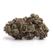 Grand Daddy Purple Herb Approach Discount Code