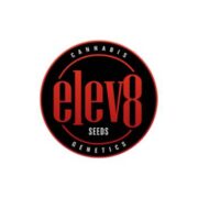 Elev8 Seeds Coupon Codes