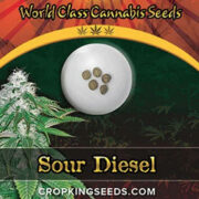 Sour Diesel Strain Feminized Marijuana Seeds Crop King Seeds Discount Code