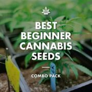 Best Beginner Seeds Combo Pack gcs