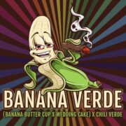 BANANA VERDE elev8