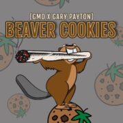 BEAVER COOKIES elev8