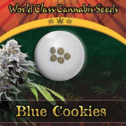 Blue Cookies Strain Feminized Marijuana Seeds Crop King Seeds Discount Code