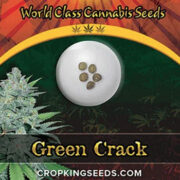 Green Crack Strain Feminized Marijuana Seeds Crop King Seeds Promo Code