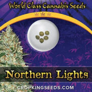 Northern Lights Strain Autoflowering Marijuana Seeds Crop King Seeds Promo Code