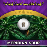 Meridian Sour Strain Auto Fem Marijuana Seeds Crop King Seeds Promo Code