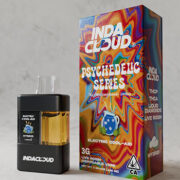 Electric Cool-aid 3G DISPOSABLE VAPE Indacloud Promo Code