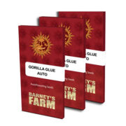 Gorilla Glue Auto - Feminised - Barney's Farm Amsterdam Seed Center Promo Code