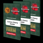 Lemon Cherry Gelato - Feminised - Barney's Farm Amsterdam Seed Center Discount Code