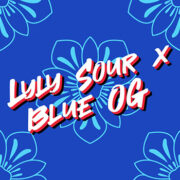 Lyly Sour x Blue OG Feminized Seed Supreme Coupon Code