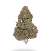 AA Great White Shark The Grow House Discount Code