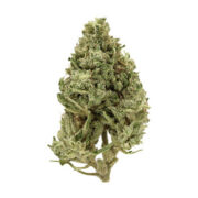 AA White Widow The Grow House Promo Code