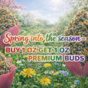 Shroom Garden Spring Ounce Deal Promo Code