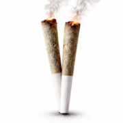 Hi on Nature .5 gram Pre Rolls Promo Code