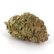 Pineapple Express (AAAA) BC Bud Supply Promo Code